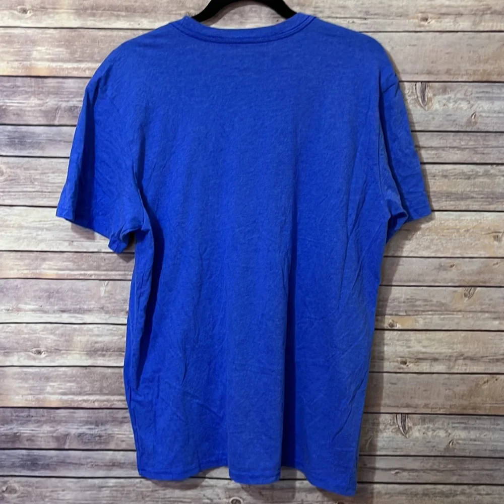 THE NORTH FACE T-shirt Blue EUC Size Large C1